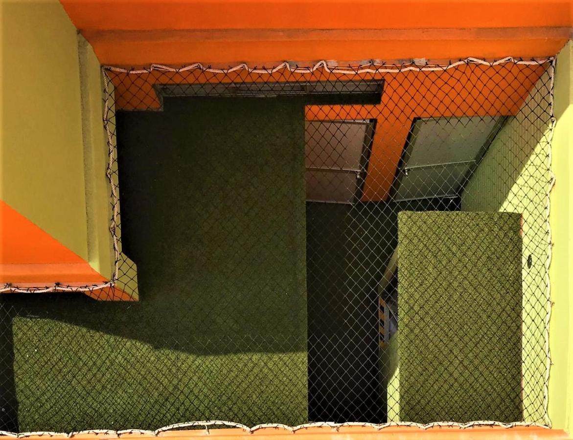 Happy Tree Hostel Peru Лима Экстерьер фото
